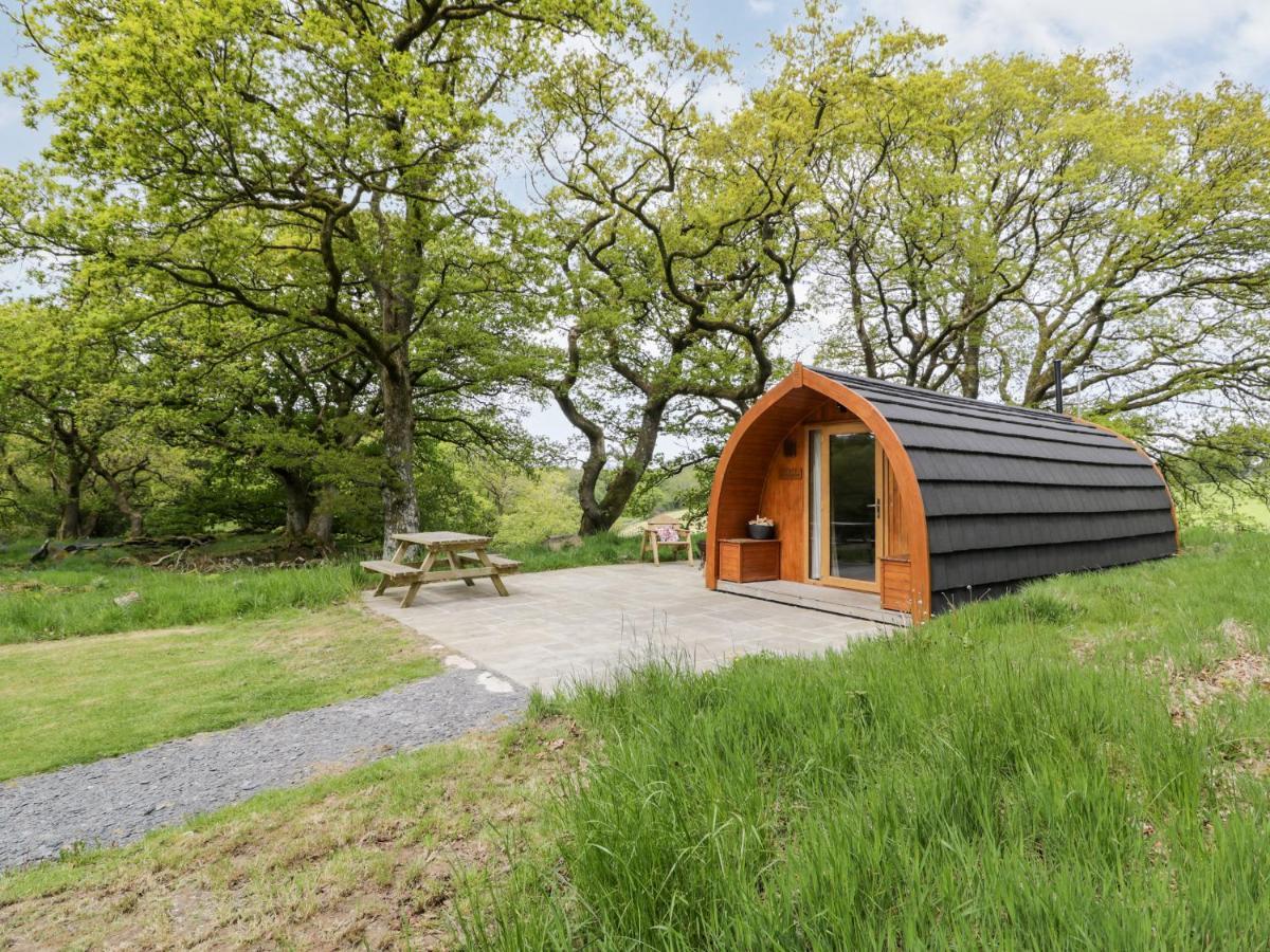 Conwy Pod Villa Llanrwst Exteriör bild